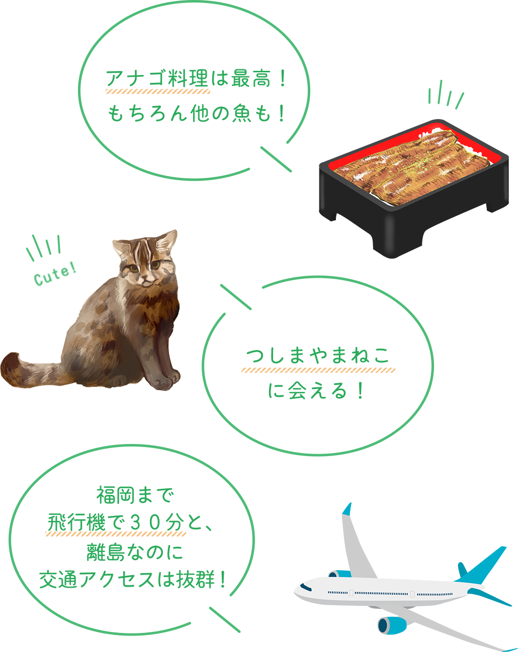 アナゴ料理は最高！もちろん他の魚も！　つしまやまねこに会える！　福岡まで飛行機で３０分と、離島なのに交通アクセスは抜群！